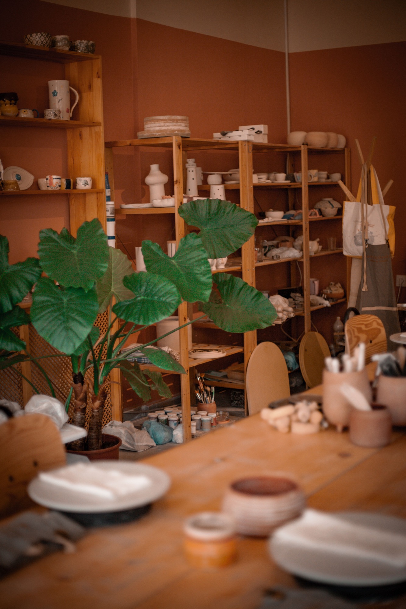 陶器の棚と観葉植物が並ぶ陶芸のアトリエ